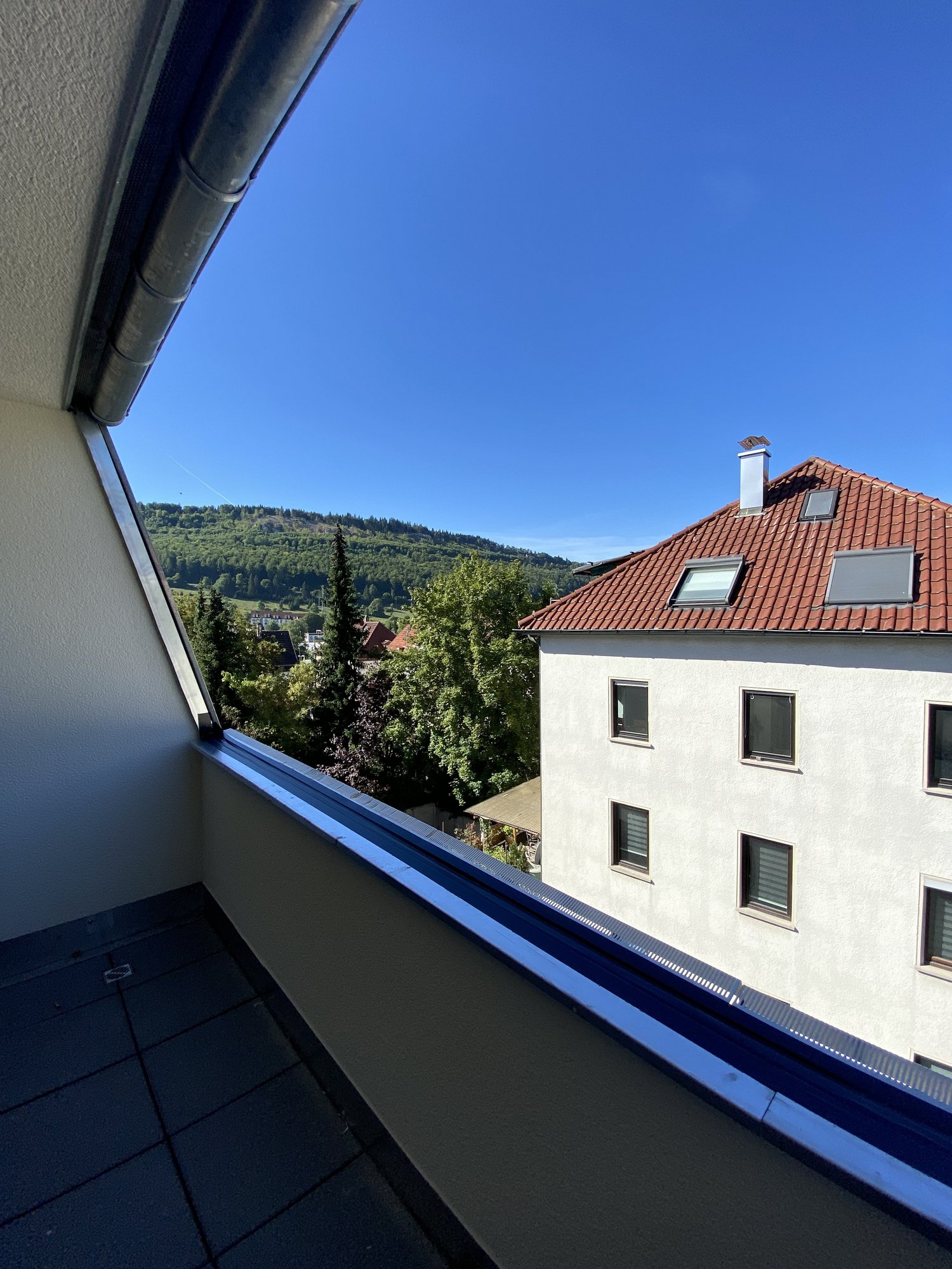 Blick ins Grüne