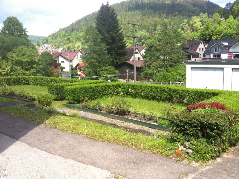 Charmante 3-Zimmer-Wohnung mit großer Terrasse - Foto 1