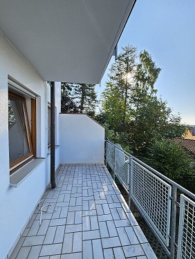 Blick ins Grüne